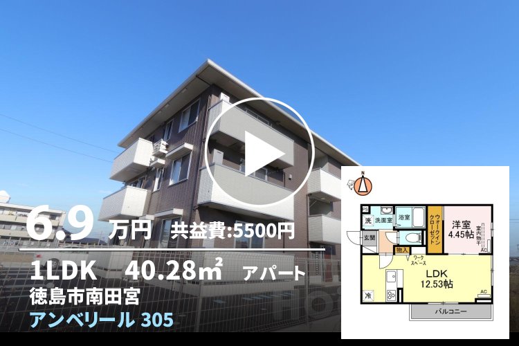 アンベリール 305