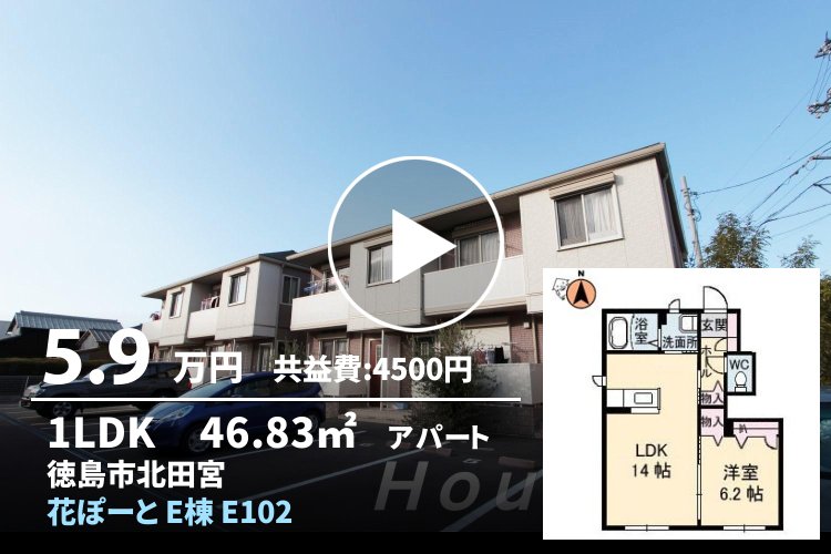 花ぽーと E棟 E102