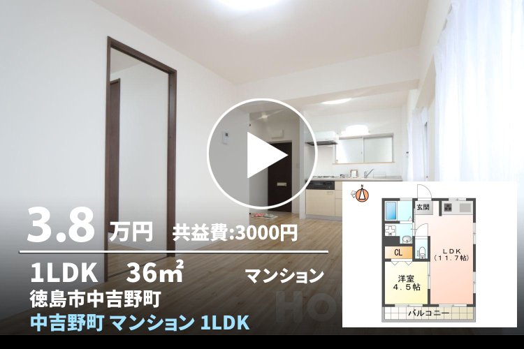 中吉野町 マンション 1LDK 301