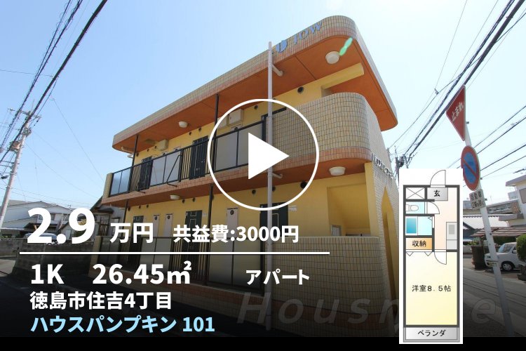 ハウスパンプキン 101