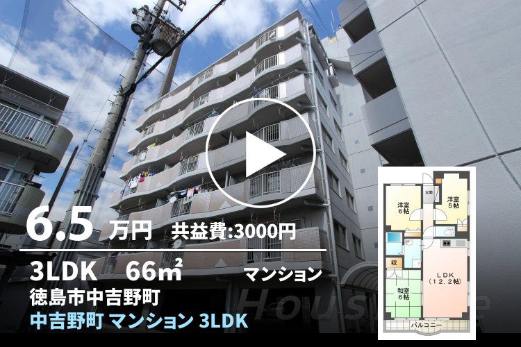 中吉野町 マンション 3LDK 205