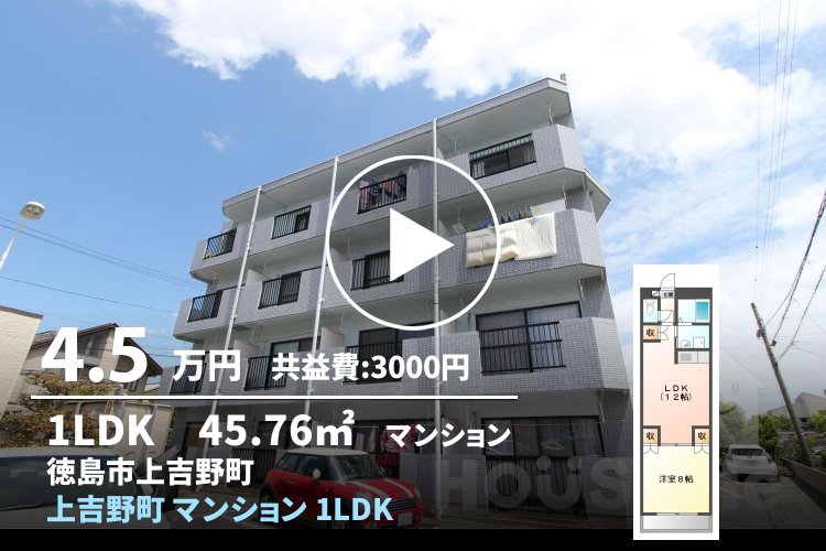 上吉野町 マンション 1LDK 202