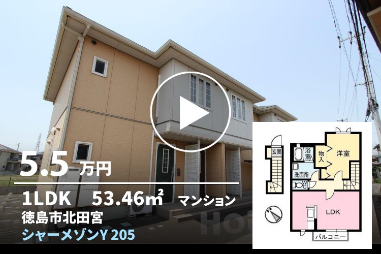 シャーメゾンY 205