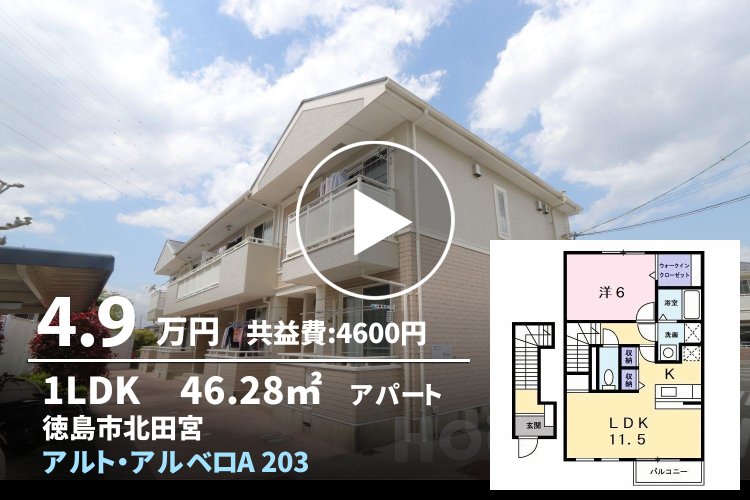 アルト・アルベロA 203