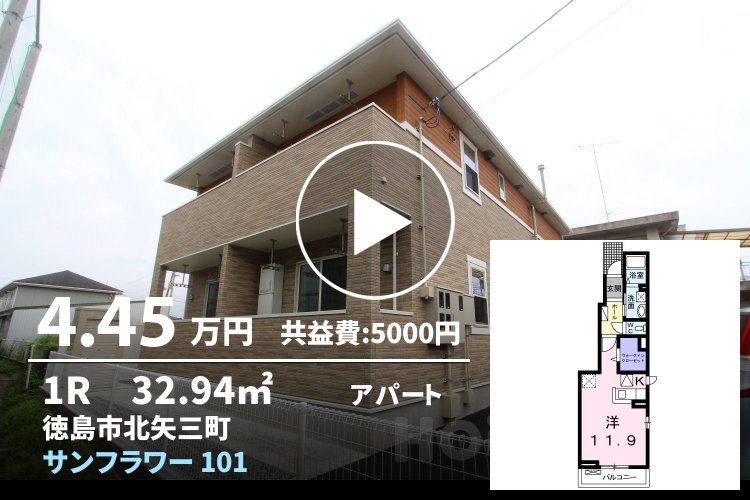 サンフラワー 101