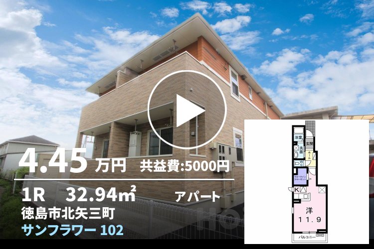 サンフラワー 102
