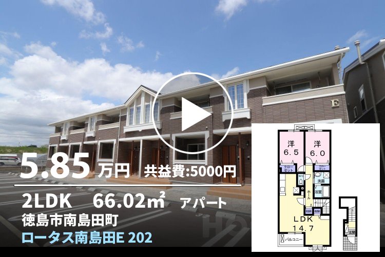 ロータス南島田E 202
