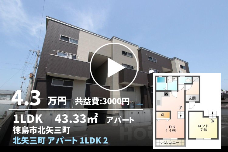 北矢三町 アパート 1LDK 2D