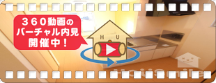 ノヴァ ビジュアル 202の360動画