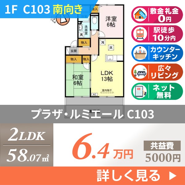 プラザ・ルミエール c103