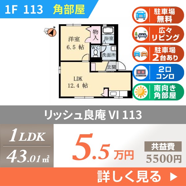 リッシュ良庵 VI 113