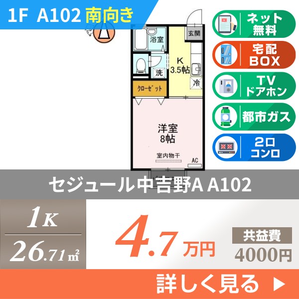 セジュール中吉野A a102