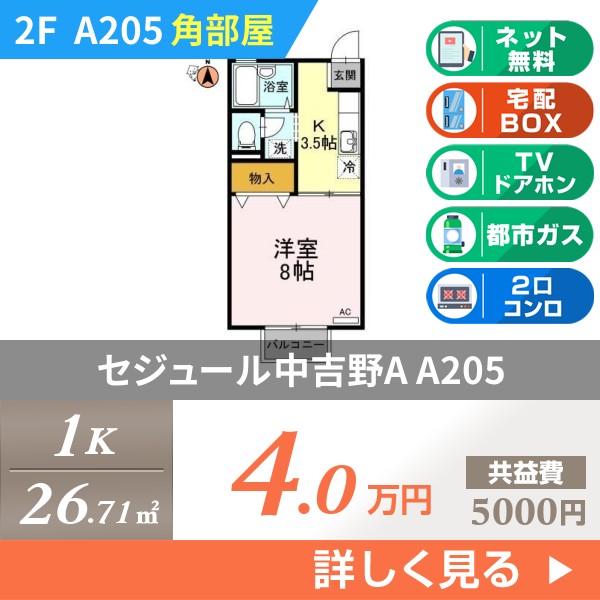セジュール中吉野A a205