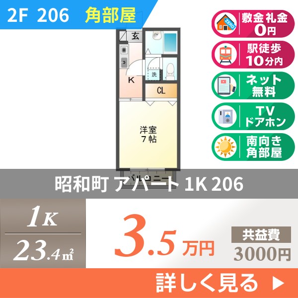 昭和町 2階建アパート 1995年築 206