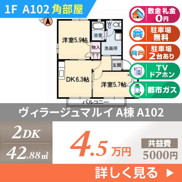 ヴィラージュマルイ A棟 A102
