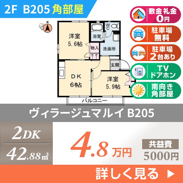 ヴィラージュマルイ b205