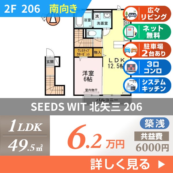 SEEDS WIT 北矢三 206