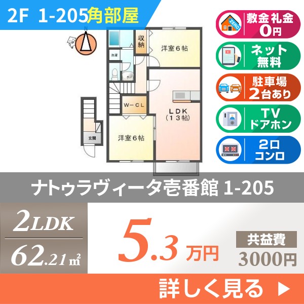 ナトゥラヴィータ壱番館 1h205