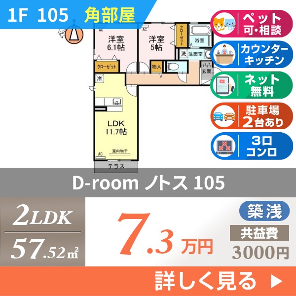 D-room ノトス 105
