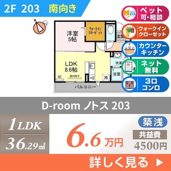 D-room ノトス 203