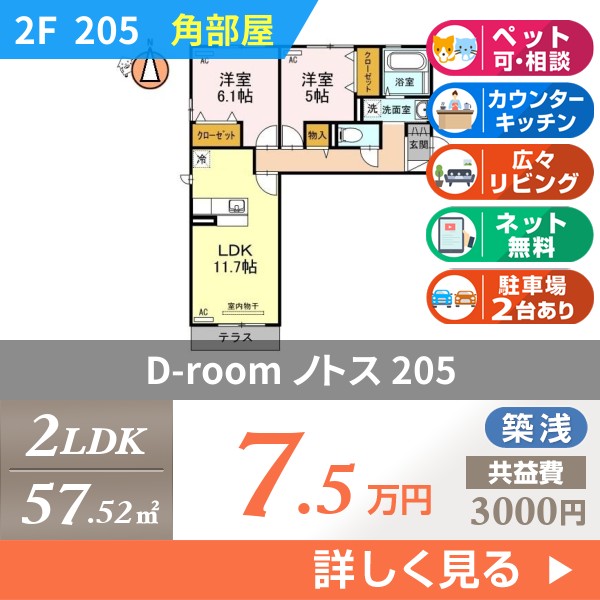 D-room ノトス 205
