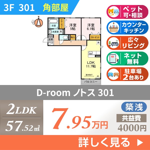 D-room ノトス 301