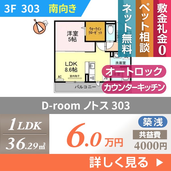D-room ノトス 303