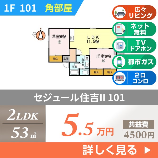 セジュール住吉II 101
