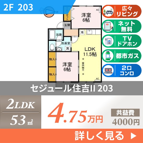 セジュール住吉II 203