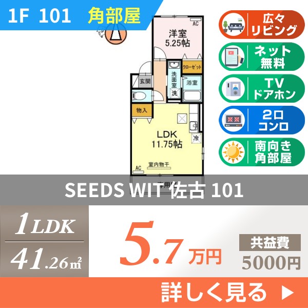 SEEDS WIT 佐古 101