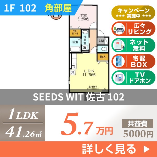 SEEDS WIT 佐古 102