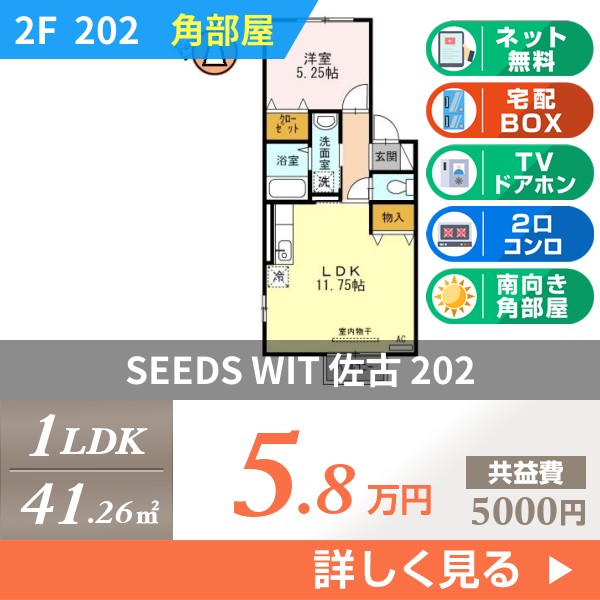 SEEDS WIT 佐古 202