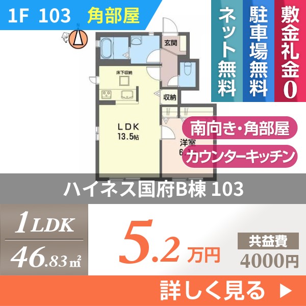ハイネス国府B棟 103