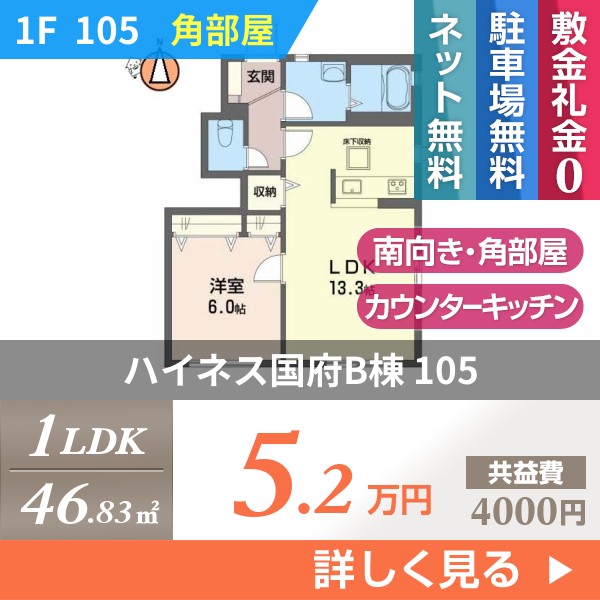 ハイネス国府B棟 105