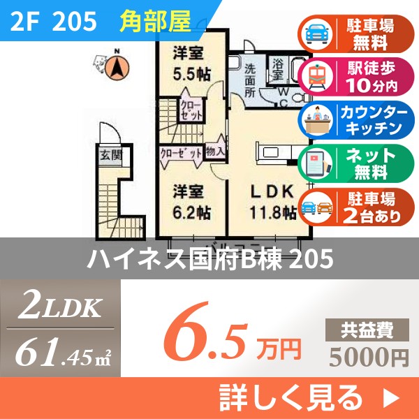 ハイネス国府B棟 205