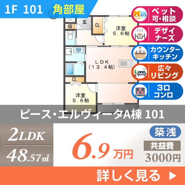 ピース・エルヴィータA棟 101