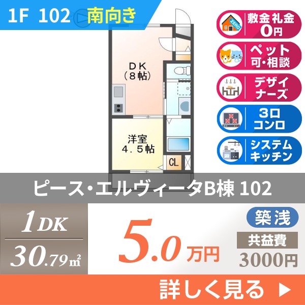 ピース・エルヴィータB棟 102