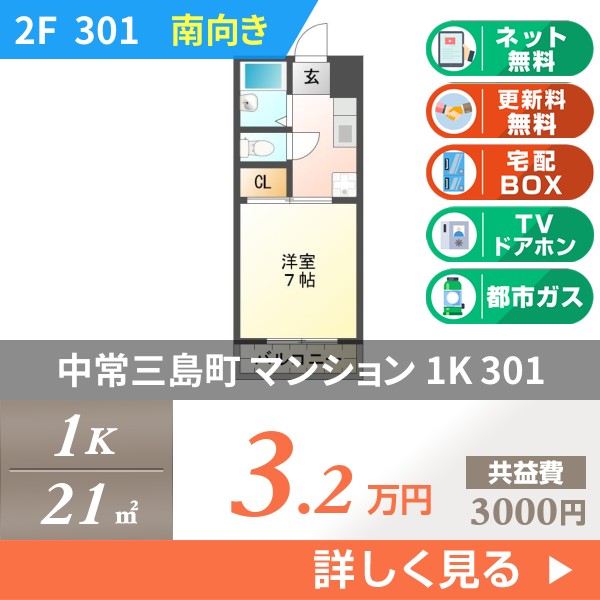 中常三島町 3階建マンション 1992年築 301