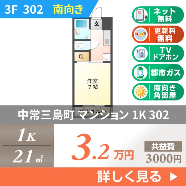 中常三島町 3階建マンション 1992年築 302