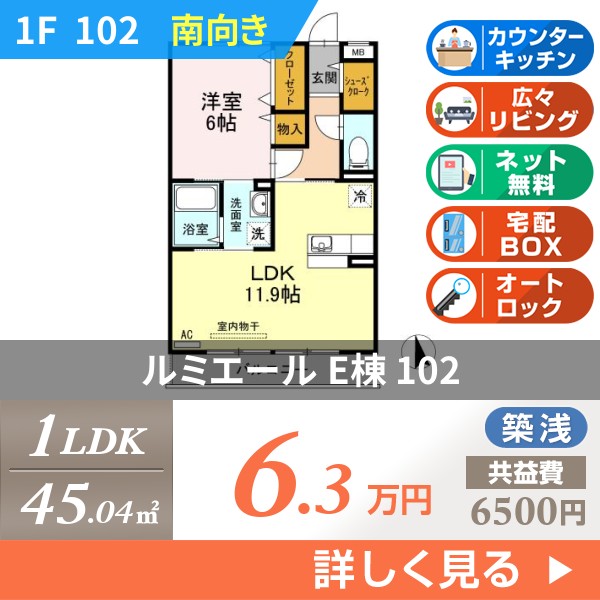 ルミエール E棟 102