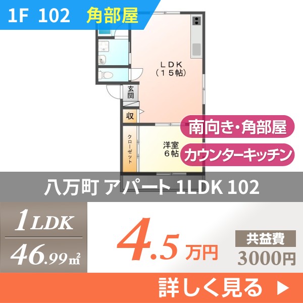 八万町 アパート 1LDK 102