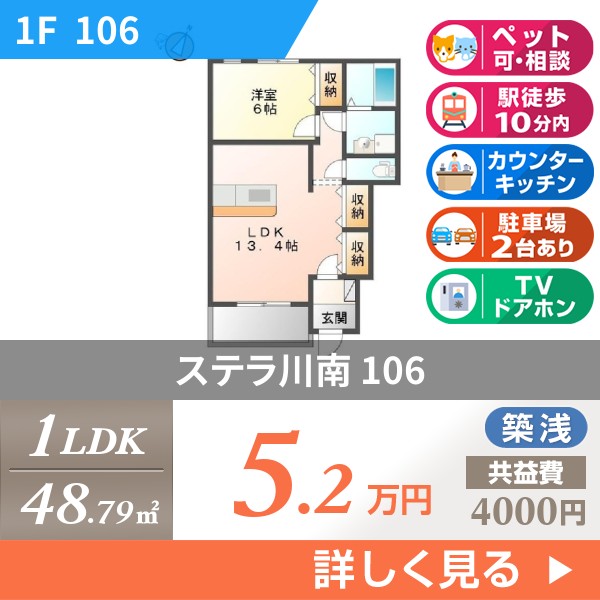 ステラ川南 106