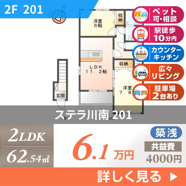 ステラ川南 201