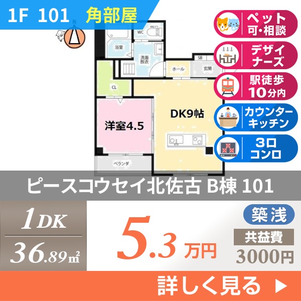 ピースコウセイ北佐古 B棟 101