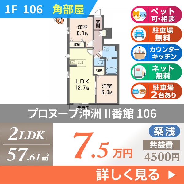 プロヌーブ沖洲 II番館 106
