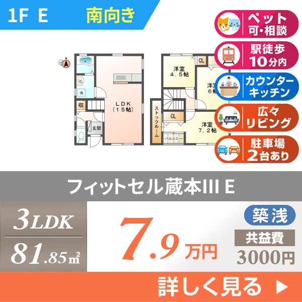 フィットセル蔵本III e