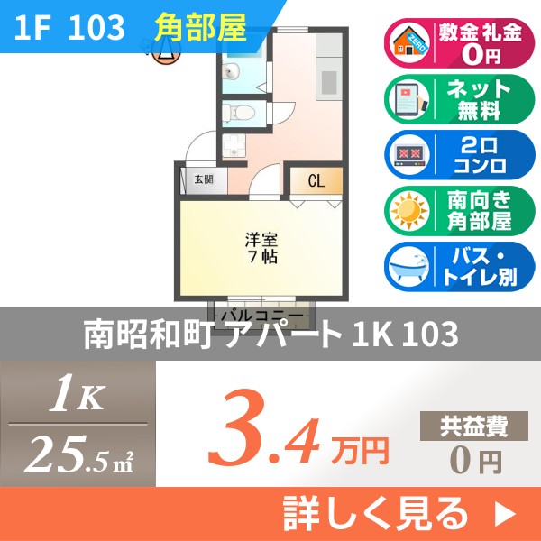 南昭和町 2階建アパート 1996年築 103