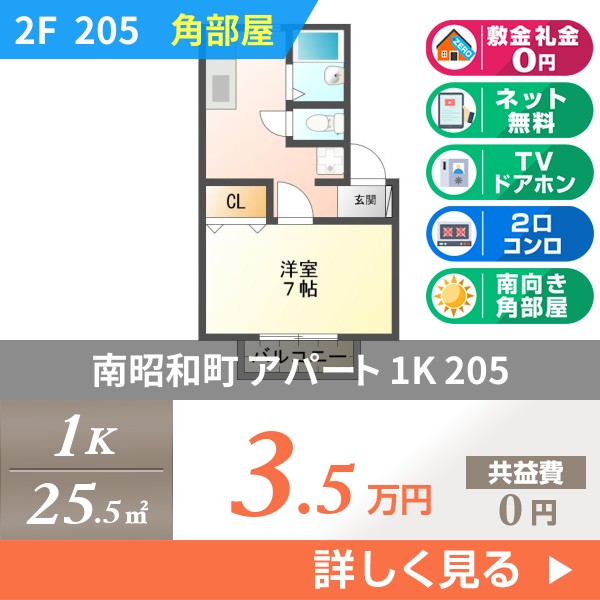 南昭和町 2階建アパート 1996年築 205