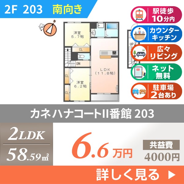 カネハナコートII番館 203