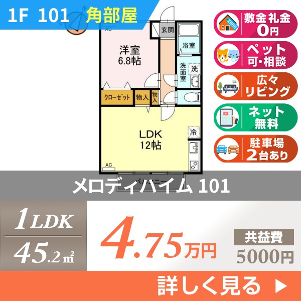 メロディハイム 101